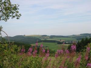 Haus 2 - Typ C (kombiniert)