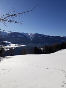 Hinterramsebn