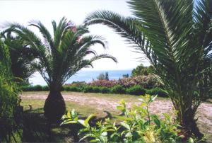 Nerissa bungalows Kefalloniá Greece