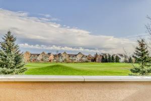 Wintergreen 218
