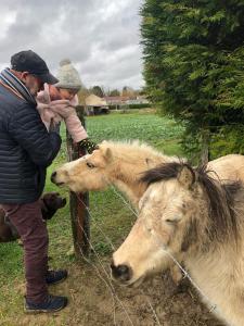 Sejours chez l'habitant Chambre en rez de jardin : photos des chambres