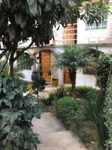 Hotel El Mirador y Jardin