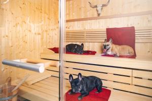 Landhotel Fettehenne