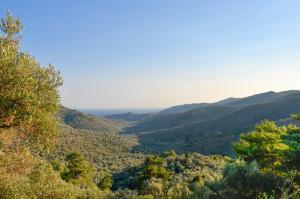 Asmanis Rooms Lesvos Greece