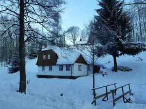 Počitniška hiša Chalupa ŠVÝCARKA v Orlických horách Olešnice v Orlických horách Češka