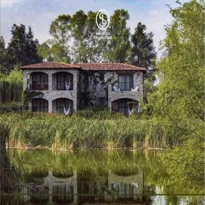 Viñedos San Lucas - Pozos