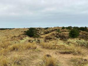 Guesthouse Villa Sønderklit