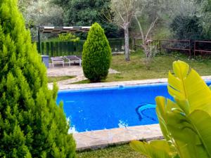 Two-Bedroom Cottage room in Casas Rurales Los Algarrobales