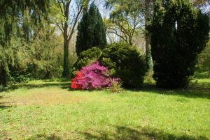 La Demeure de l'Isle photo 15