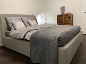 Central & Elegant Room in Biel