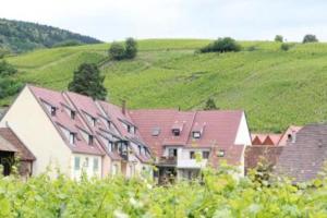 Appartements Vue sur vignes : photos des chambres