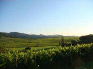 Appartements Vue sur vignes : photos des chambres