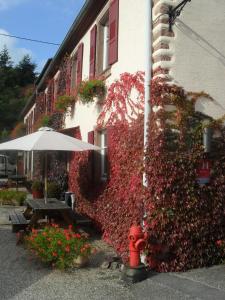 Hotels Hotel du Haut Koenigsbourg- entre vignes et chateau : photos des chambres
