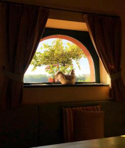 Agriturismo Le Colombaie