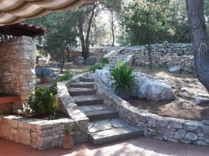 Juka house