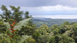 Finca Sueno de Osa, Puerto Jiménez