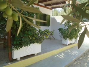 Leros Eleonas Apartments Leros Greece