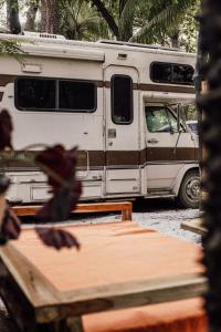 Zeneidas Surf Garden