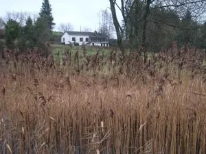 Dry Harbour - Inishmore