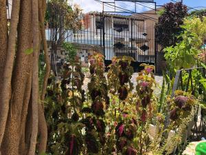 Hospedagem minha casa