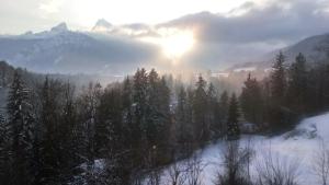 Die schlafende Goass