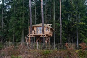 Вила Treehouse Ralsko resort Chrastná Чехия