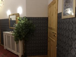 Apartamenty pod Wiciokrzewem