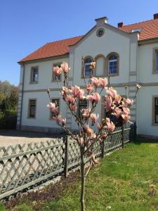 Pension Stara Szkoła Dębowy Gaj The Old School Dębowy Gaj Lwówek Śląski Polen