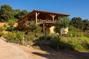 U mè sognu - Viggianello