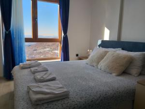 Apartment Aurora P 62