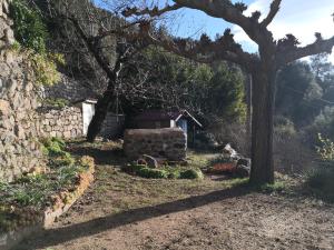 Maisons de vacances Studio des Combes : photos des chambres