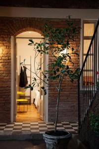 Carlota Sustainable Design Hotel