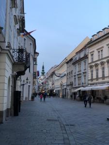 Pleasant apartment under the Bratislava castle