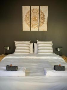 Lower Point Surf Studio 2