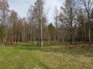 Haga gård och Stall