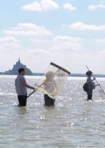 Maisons d'hotes Entre Mont St Michel et Merveille : photos des chambres