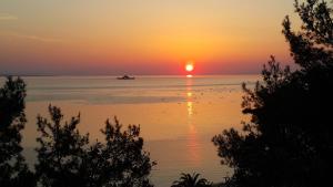 Villa Victoria Apartments Thassos Greece