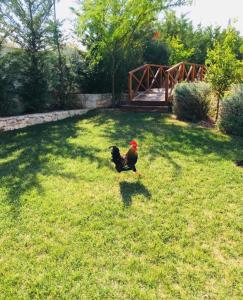 Villa christina Korinthia Greece