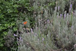 Casa de las 3 chimeneas
