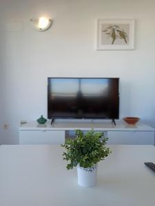 Apartamento en edificio Stella Maris