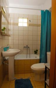 Sunny Family Apartment