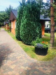 DOMKI HOLIDAY PARK Białogóra