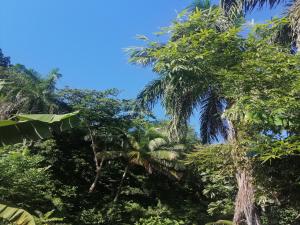 House Jardin Del Caribe