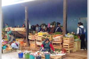 Cielo de Tierra 1: Balcón a los molles