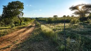 ZuriCamp - Campsite Halishi
