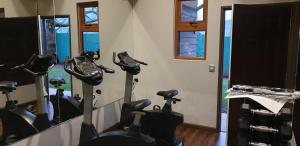 Departamento Alicura - Pucón