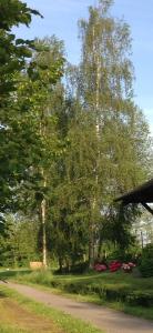 La Gare aux Oiseaux photo 21