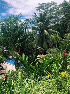 Eden Hills Residence