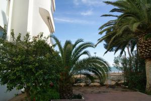 Kione Las Margaritas