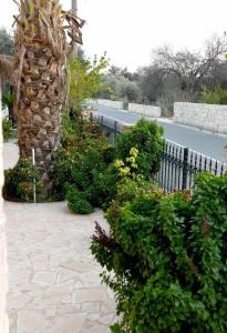 Lasa Black Rock villa